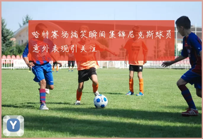 哈特赛场搞笑瞬间集锦尼克斯球员意外表现引关注